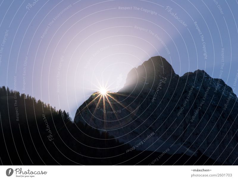 Sonnenstern Wald Felsen Alpen Berge u. Gebirge natürlich blau gelb violett Stern Nadelbaum Sonnenuntergang verschwunden Am Rand Licht Lichtstrahl leuchten