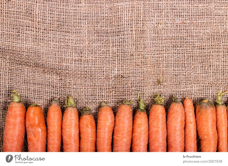 frische Möhren Gemüse Ernährung Bioprodukte Garten Küche Herbst Sack wählen liegen verkaufen Gesundheit orange Reihe Wurzelgemüse Vitamin Jute Vitamin A Ordnung