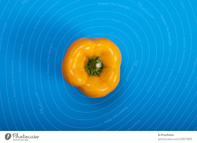 gelber Paprika Gemüse Ernährung Bioprodukte Vegetarische Ernährung Gesunde Ernährung Küche beobachten Fröhlichkeit frisch Gesundheit blau genießen