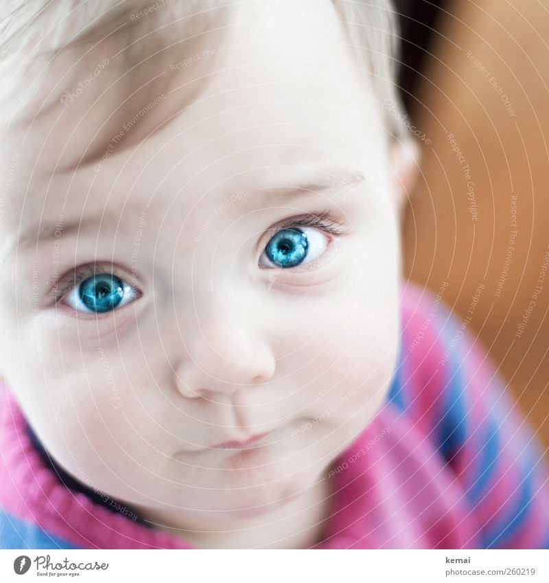 Babyblau Haut Gesicht Mensch Mädchen Kindheit Leben Kopf Auge Nase Mund Wimpern 1 0-12 Monate Blick klein Gefühle Vertrauen niedlich Vorsicht intensiv fesselnd