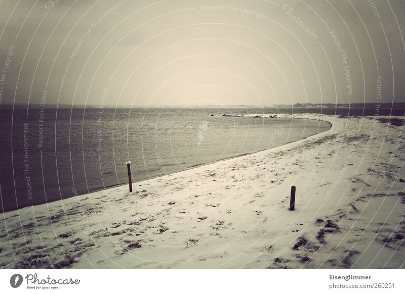 Holnis Landschaft Wasser Winter schlechtes Wetter Eis Frost Schnee Strand Bucht Ostsee Meer bedrohlich dunkel ruhig Horizont Farbfoto Gedeckte Farben