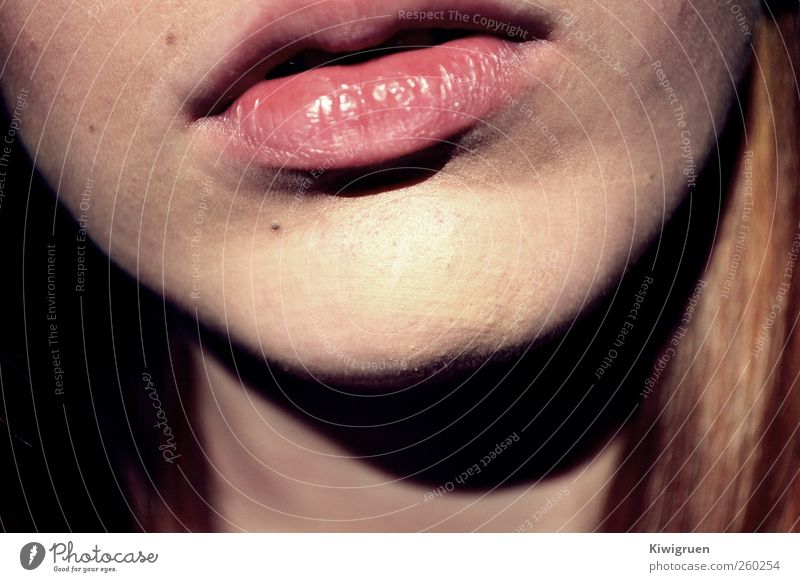 lips don't lie feminin Junge Frau Jugendliche Mund Lippen 1 Mensch ästhetisch einzigartig natürlich Farbfoto Experiment Kunstlicht Zentralperspektive