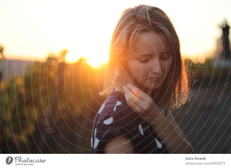 Weinberg Sonnenuntergang Frau feminin Erwachsene 1 Mensch 18-30 Jahre Jugendliche Natur Sommer Schönes Wetter Hügel Volkach T-Shirt brünett blond kurzhaarig