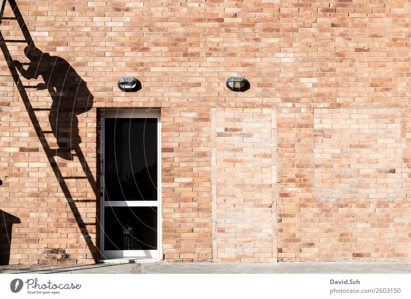 Schatten eines Handwerkers auf einer Leiter heimwerken Haus Renovieren Arbeit & Erwerbstätigkeit Beruf Baustelle Mensch maskulin Mann Erwachsene Körper Fassade