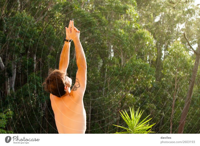 Der Mensch macht Yoga in der Natur. Lifestyle Wellness harmonisch Erholung ruhig Meditation Sommer maskulin Mann Erwachsene Rücken Arme 1 30-45 Jahre Wald atmen
