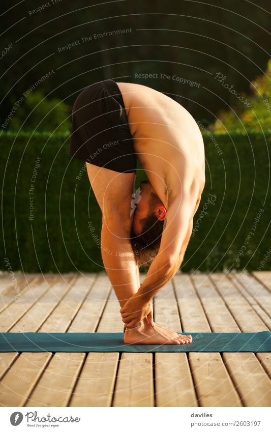 Der Mensch macht Yoga in der Natur. Lifestyle Wellness harmonisch Erholung ruhig Freizeit & Hobby Sommer Junger Mann Jugendliche Erwachsene Körper 1 30-45 Jahre