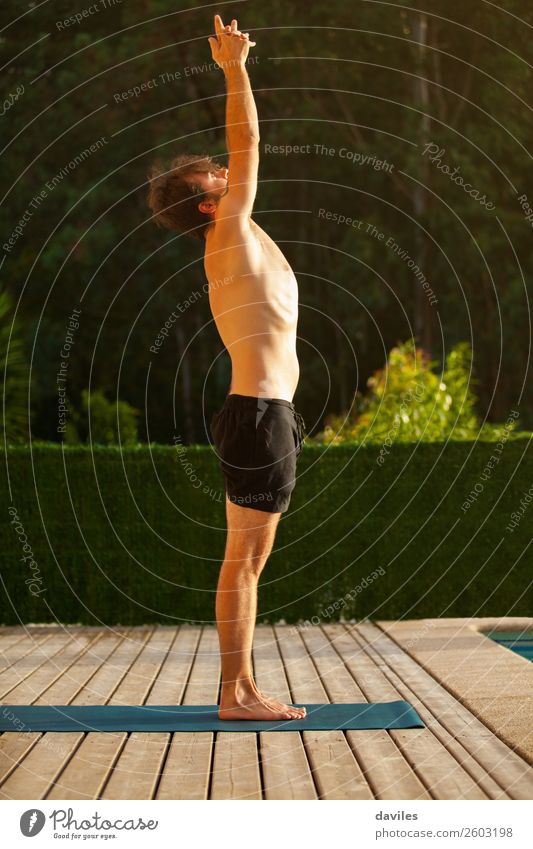 Der Mensch macht Yoga in der Natur. Lifestyle Wellness harmonisch Erholung ruhig Freizeit & Hobby Sommer maskulin Mann Erwachsene Körper 1 30-45 Jahre Baum Wald