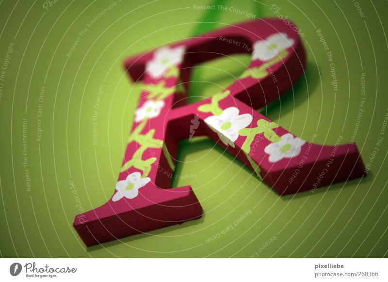 Frrrrrühling! Häusliches Leben Wohnung einrichten Dekoration & Verzierung Raum Kitsch Krimskrams Holz Schriftzeichen grün rosa weiß Frühlingsgefühle Design