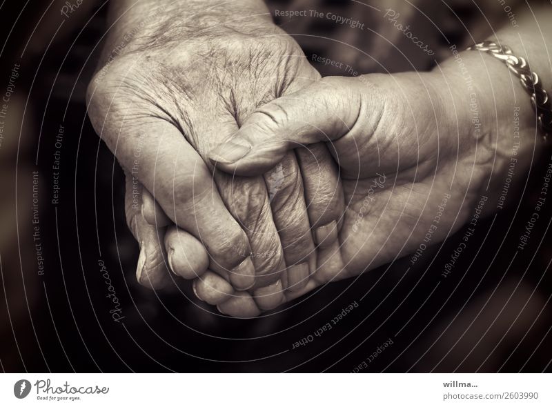 Verbundenheit, zwei Senioren halten sich an den Händen Hand Alter Paar Partner Mensch Leben berühren Zusammensein Gefühle Zufriedenheit Vertrauen Geborgenheit