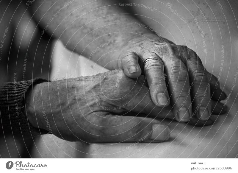 Lebensabend. Seniorin legt ihre Hand vertrauensvoll auf die Hand ihres Mannes. 2 Hände Alter Paar Partner Mensch alt 60 und älter berühren Gefühle Vertrauen
