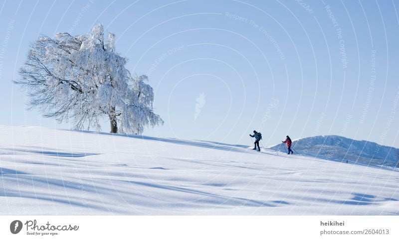 Langläufer auf dem Schauinsland bei Freiburg Freude Glück Zufriedenheit Erholung ruhig Ferien & Urlaub & Reisen Tourismus Ausflug Abenteuer Ferne Winter Schnee