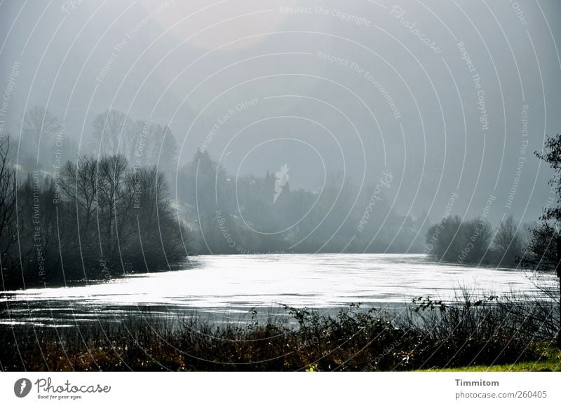 Das Leben... Umwelt Natur Landschaft Wasser Himmel Winter Nebel Baum Flussufer Neckar Baden-Württemberg beobachten Blick ästhetisch grau schwarz weiß Gefühle