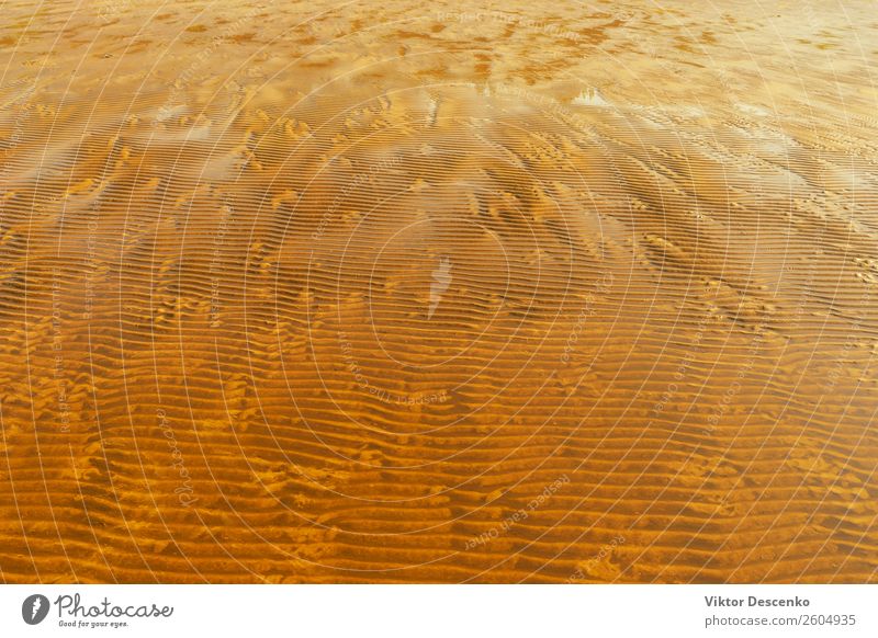 Sandstrand bei Ebbe im Herbst Sommer Strand Meer Wellen Wetter Wind Küste Bewegung Stimmung Wasser Konsistenz tiefstehend Gezeiten Nachmittag Müllhalde