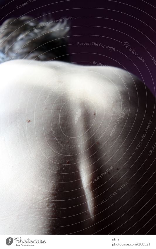 Detailaufnahme eines nackten Rückens schön Körper Haut Mensch maskulin Mann Erwachsene Leben Wirbelsäule 1 Erholung ästhetisch authentisch kalt natürlich