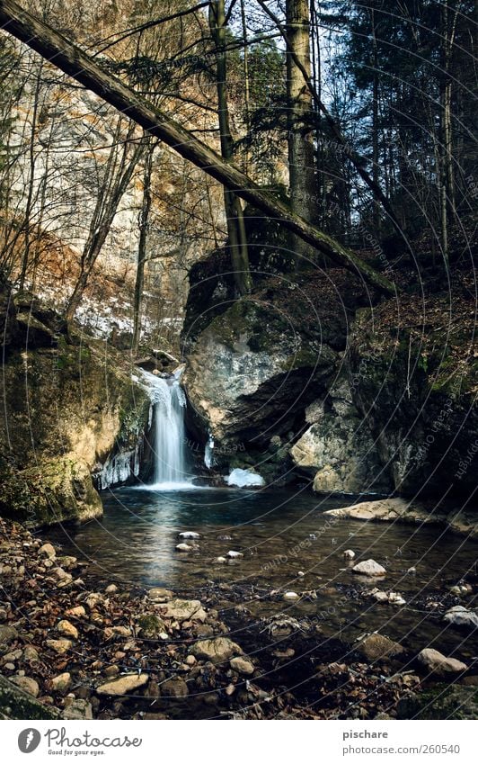 Nature Umwelt Landschaft Wasser Wald Bach Wasserfall ruhig Farbfoto Außenaufnahme Tag Starke Tiefenschärfe Weitwinkel