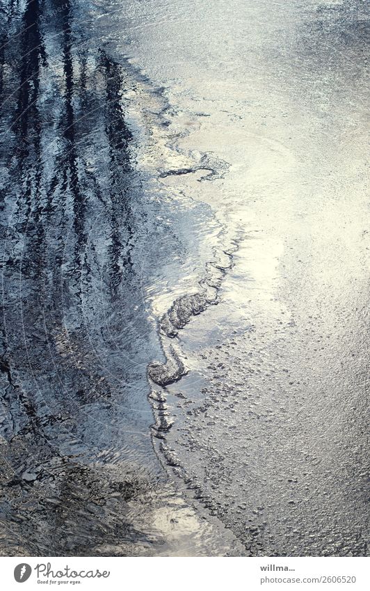 Bäume spiegeln sich im gefrorenen Teich Wasser Winter Eis Frost See Wandel & Veränderung Tauwetter Aggregatzustand Farbfoto Außenaufnahme Reflexion & Spiegelung