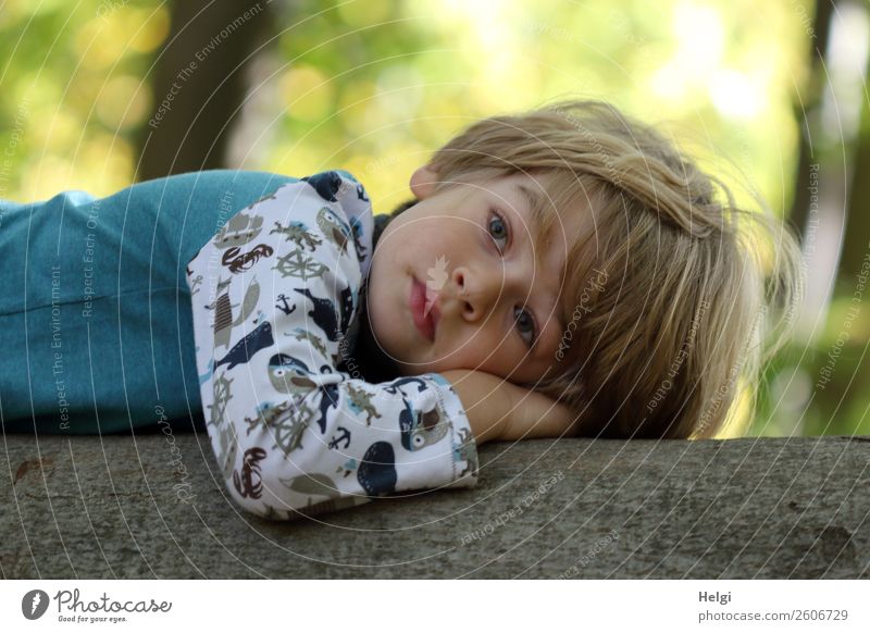 Porträt eines kleinen Jungen, der träumend auf einem Baumstamm liegt Mensch maskulin Kind Kindheit 1 3-8 Jahre Umwelt Natur Herbst Wald Bekleidung T-Shirt