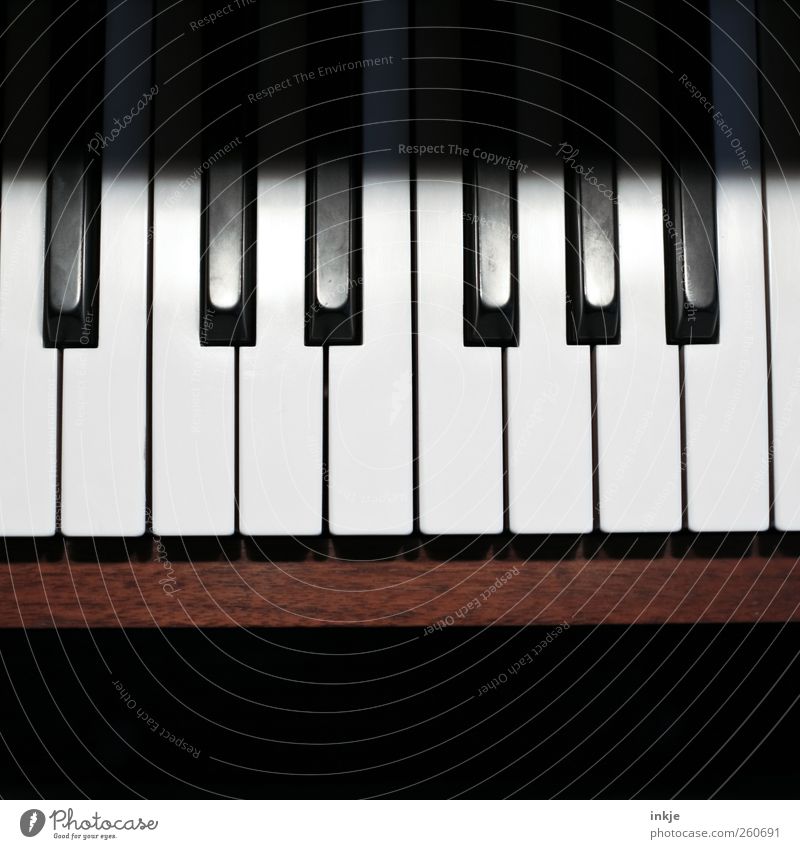 Tastatur Freizeit & Hobby musizieren Musik Klavier Klaviatur Ton Oktave braun schwarz weiß Gefühle Stimmung Tugend Leidenschaft Selbstbeherrschung fleißig