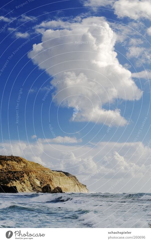 Zypern Steilküste Natur Landschaft Urelemente Wasser Himmel Wolken Wellen Küste Meer Mittelmeer Insel Klippe blau braun weiß Kraft Farbfoto Außenaufnahme