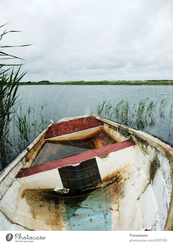 Du musst einfach zuversichtlich sein! Umwelt Natur Wasser Himmel Wolken Sommer Seeufer Dänemark Wasserfahrzeug Blick warten kaputt nass grau grün weiß Verfall