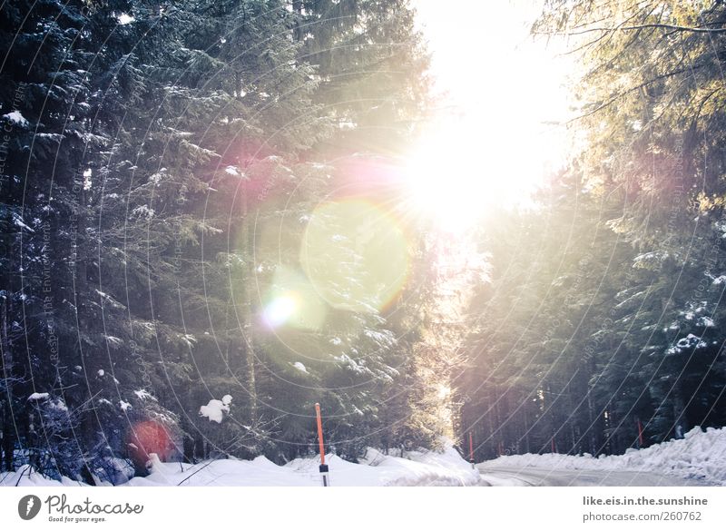 wunderschönen guten morgen! Ausflug Winterurlaub Landschaft Schönes Wetter Eis Frost Schnee Schneefall Baum Wald Alpen Verkehrswege Straße glänzend Energie kalt