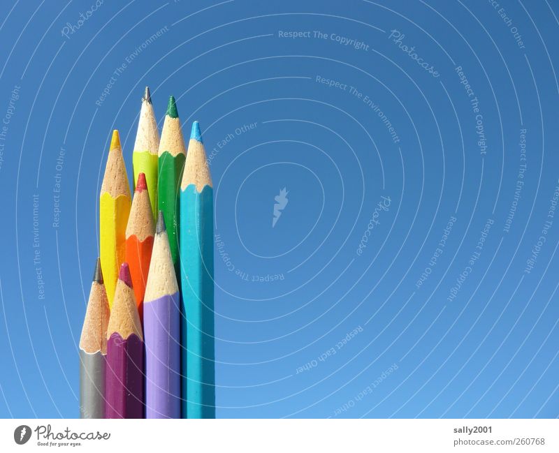 Farbstifte Basteln zeichnen Büroarbeit Kunst malen Himmel Wolkenloser Himmel Schreibwaren Bleistift Schreibstift Holz schreiben ästhetisch mehrfarbig Freude