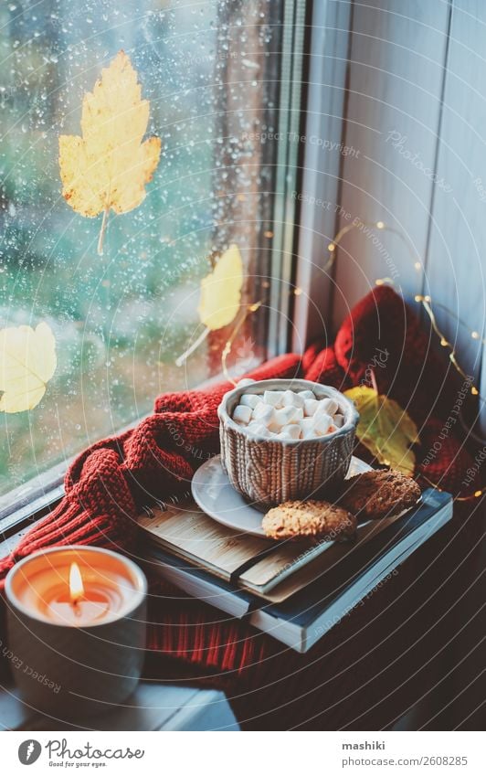gemütlicher Herbstmorgen zu Hause. Heißer Kakao mit Marshmallows Frühstück Kaffee Tee Lifestyle Leben Erholung lesen Wetter Regen Blatt heiß Geborgenheit bequem