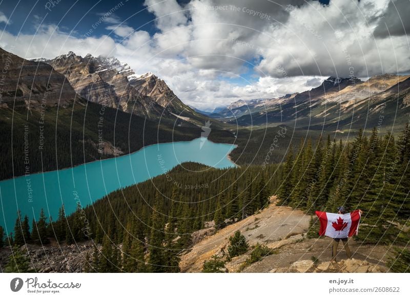 So schön ist Kanada... Ferien & Urlaub & Reisen Tourismus Ausflug Ferne Freiheit Expedition Berge u. Gebirge Mann Erwachsene 1 Mensch Wolken Wald