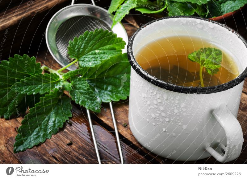 Tee mit grünen frischen Melissenblättern trinken Kraut Gesundheit Blatt Tasse Minze Kräuterbuch Melissen-Tee Pflanze Getränk heiß Aroma Medizin Pfefferminz