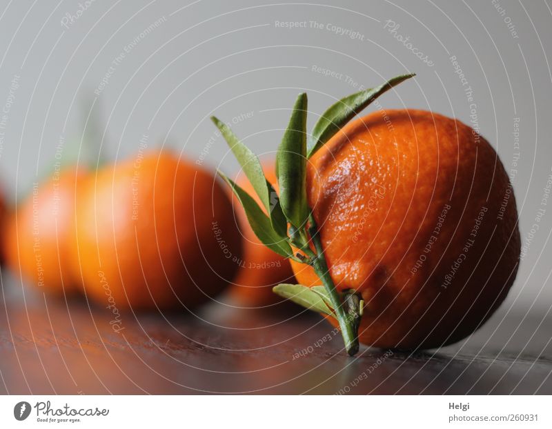 Obsttag... Lebensmittel Frucht Orange Ernährung Bioprodukte Vegetarische Ernährung Blatt liegen ästhetisch Duft einfach Gesundheit natürlich rund braun gelb