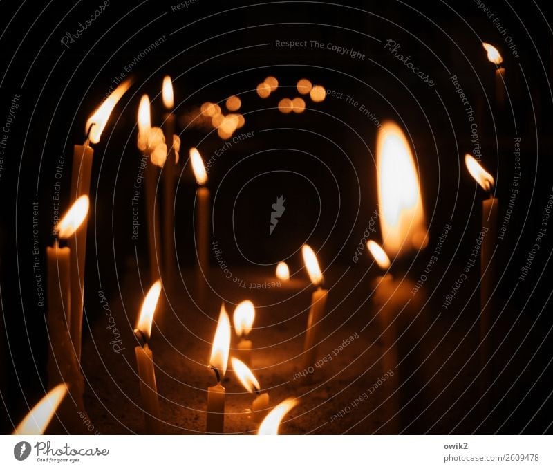 Flackernd Bamberg Dom Bayern Kerze Kerzenschein Bewegung glänzend leuchten Zusammensein viele Wärme Hoffnung Religion & Glaube Vertrauen Windzug Flamme