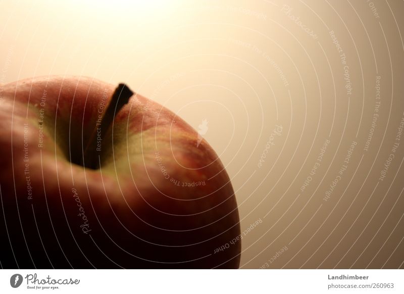 Der Apfel. Lebensmittel Frucht Gesundheit lecker rund rot Farbfoto Nahaufnahme Menschenleer Hintergrund neutral Kunstlicht Schatten