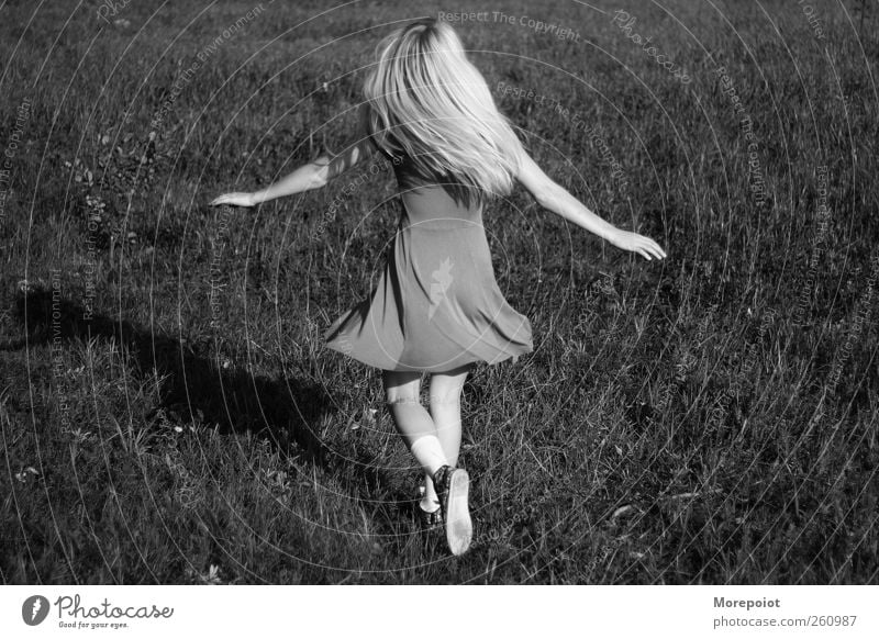 Glücklich feminin Junge Frau Jugendliche Körper 1 Mensch 18-30 Jahre Erwachsene Erde Sonne Sommer Gras Kleid blond langhaarig genießen springen Tanzen frei