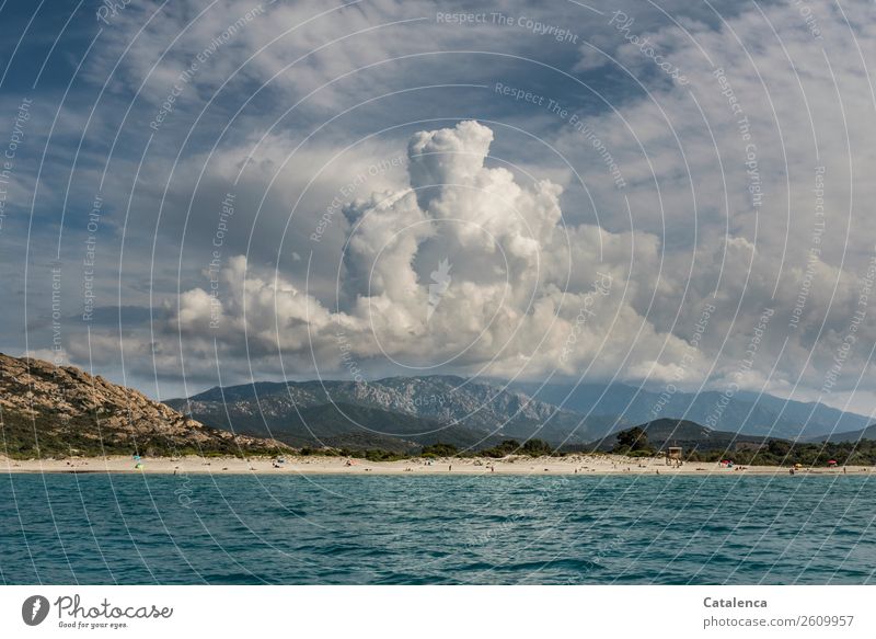 Wolkentürme Mensch Menschengruppe Natur Landschaft Sand Luft Wasser Himmel Gewitterwolken Sommer Schönes Wetter Grünpflanze Wellen Küste Strand Meer Mittelmeer
