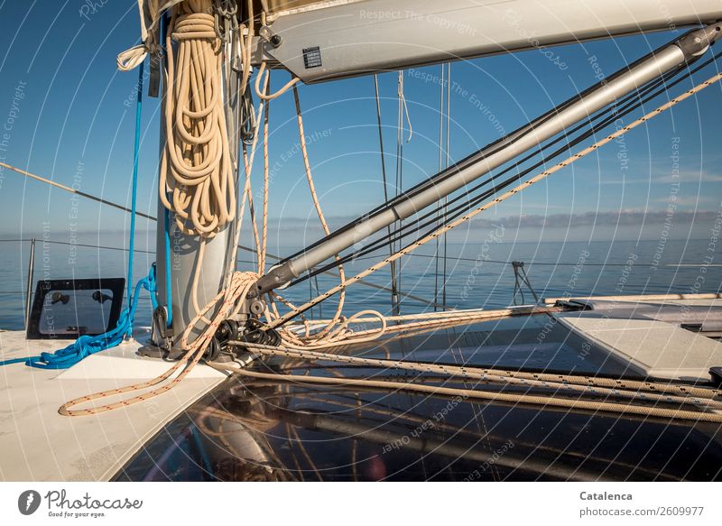 Detail mit Leinen auf einer Segelyacht Ausflug Ferne Freiheit Sommer Meer Wassersport Segeln Natur Wolkenloser Himmel Horizont Schönes Wetter Küste Mittelmeer