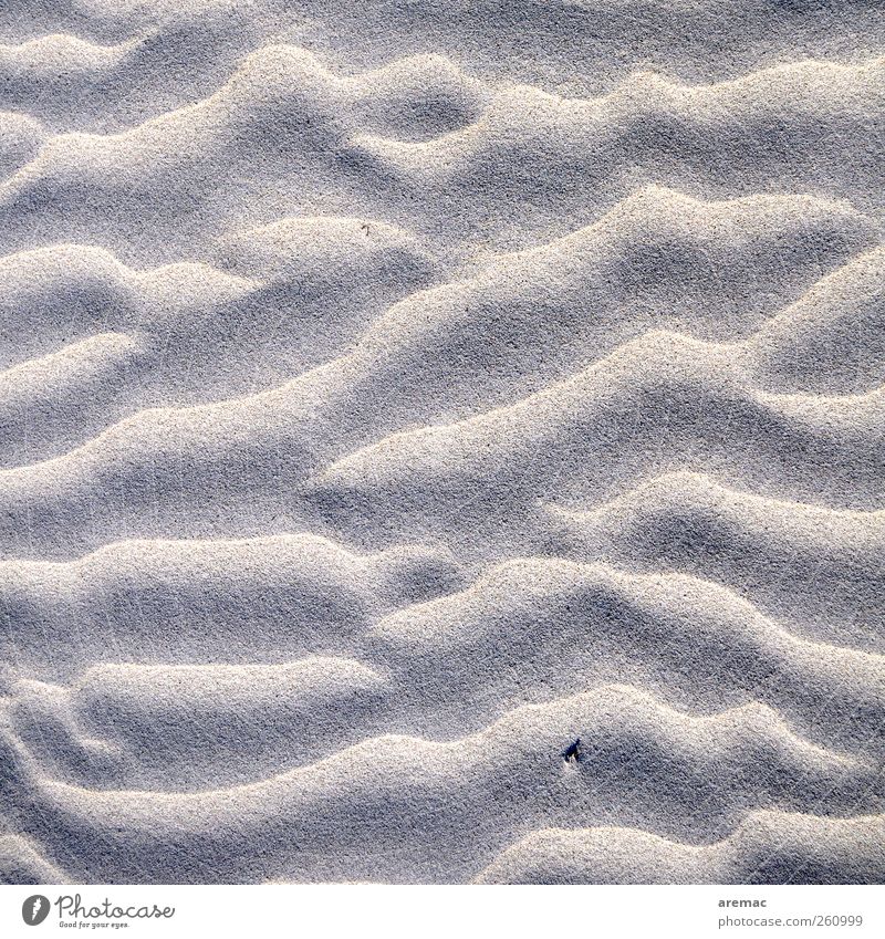 Sandstrand Natur Urelemente Strand Sauberkeit grau ruhig Farbfoto Außenaufnahme Nahaufnahme Detailaufnahme abstrakt Muster Strukturen & Formen Menschenleer