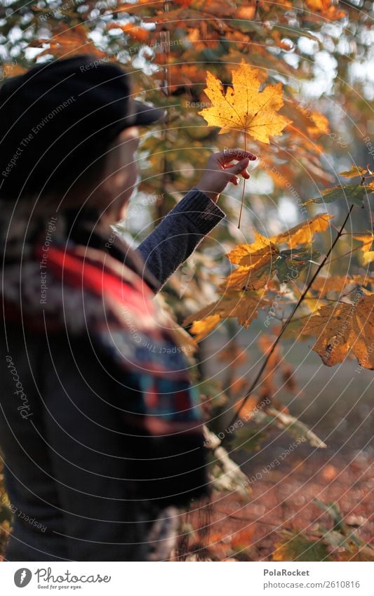 #A# Herbst-Ausflug 1 Mensch Natur Klima Schönes Wetter ästhetisch herbstlich Herbstlaub Herbstfärbung Herbstbeginn Herbstwald Herbstwetter Herbstlandschaft