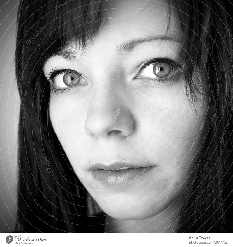 Behind those Eyes feminin Junge Frau Jugendliche Gesicht 1 Mensch 18-30 Jahre Erwachsene Blick grau schwarz weiß Neugier Beginn Schwarzweißfoto Porträt