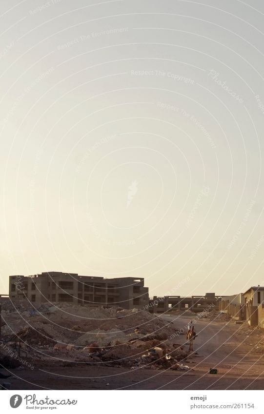 Kamelreiter 1 Mensch Erde Sand Wärme Dürre Haus Nutztier Armut trocken Baustelle Konstruktion Beton Ägypten Farbfoto Außenaufnahme Textfreiraum oben Abend