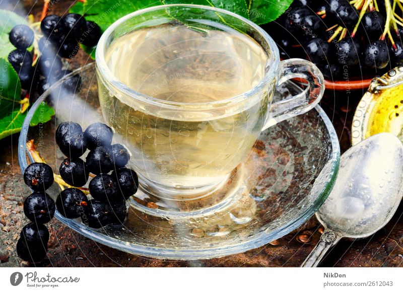 Aroniabeere mit Blatt Frucht Tee Kraut Kräuterbuch trinken Gesundheit Tasse Getränk natürlich Medizin Pflanze aromatisch Teetasse Becher medizinisch Kräutertee