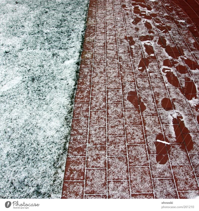 Spuren Winter Eis Frost Schnee Garten Wiese Menschenleer Wege & Pfade kalt grün rot weiß Fußspur Suche gehen Abdruck Farbfoto Außenaufnahme Muster