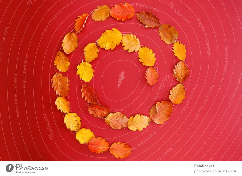 #A# Herbst-Strudel Kunst ästhetisch Gleichgewicht Muster Wasserwirbel herbstlich Design Herbstlaub Herbstfärbung Herbstbeginn Herbststurm Herbstwind rot
