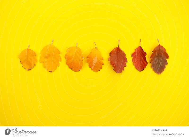 #A# Designer-Herbst Kunst ästhetisch herbstlich Herbstlaub Herbstfärbung Herbstbeginn gelb Gelbstich knallig Blatt Natur Kreativität graphisch Designwerkstatt