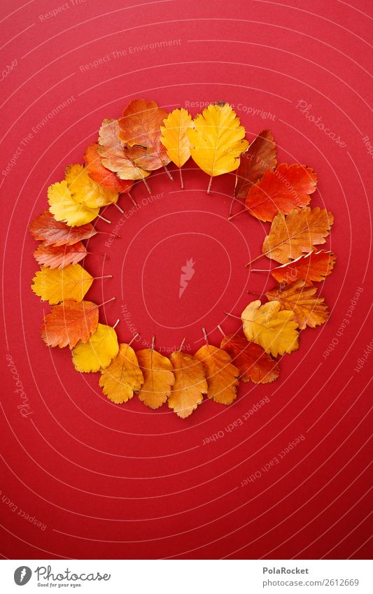 #A# Herbst-Rad Kunst ästhetisch herbstlich Herbstlaub Herbstfärbung Herbstbeginn Herbstwald Blatt Jahreszeiten Dekoration & Verzierung Kreativität Design rot