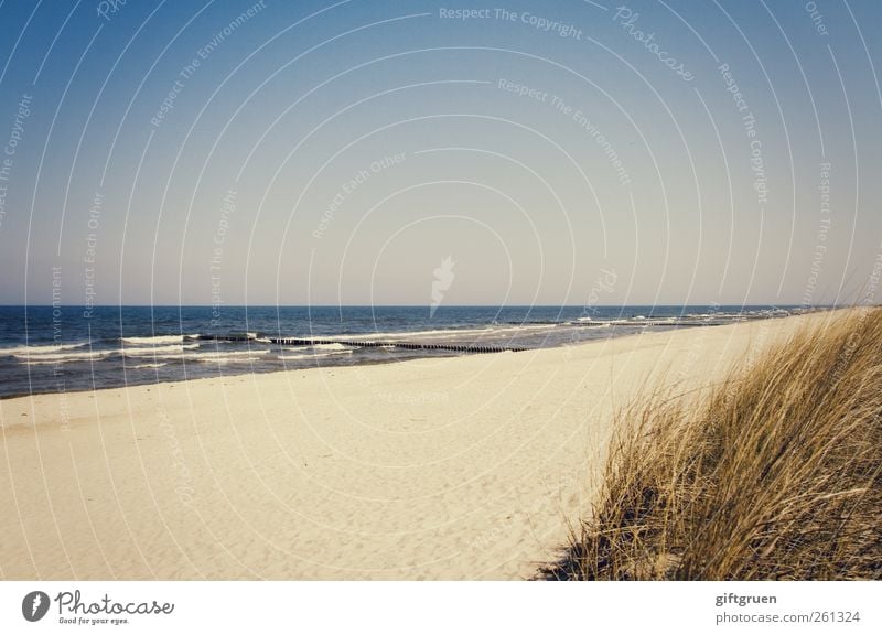 am strand Umwelt Natur Landschaft Pflanze Urelemente Sand Wasser Himmel Wolkenloser Himmel Sommer Schönes Wetter Wellen Küste Strand Ostsee Meer natürlich blau