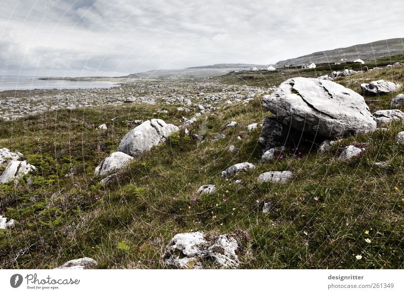 Wo die Steine wachsen Pflanze Gras Wiese Feld Hügel Felsen Berge u. Gebirge Küste Meer Atlantik Fanore Republik Irland liegen alt gigantisch groß steinig
