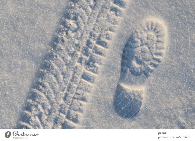 fahren oder laufen Winter Eis Frost Schnee gehen blau weiß Spuren Fußspur Schuhsohle Reifenspuren Reifenprofil kalt Farbfoto Außenaufnahme Menschenleer