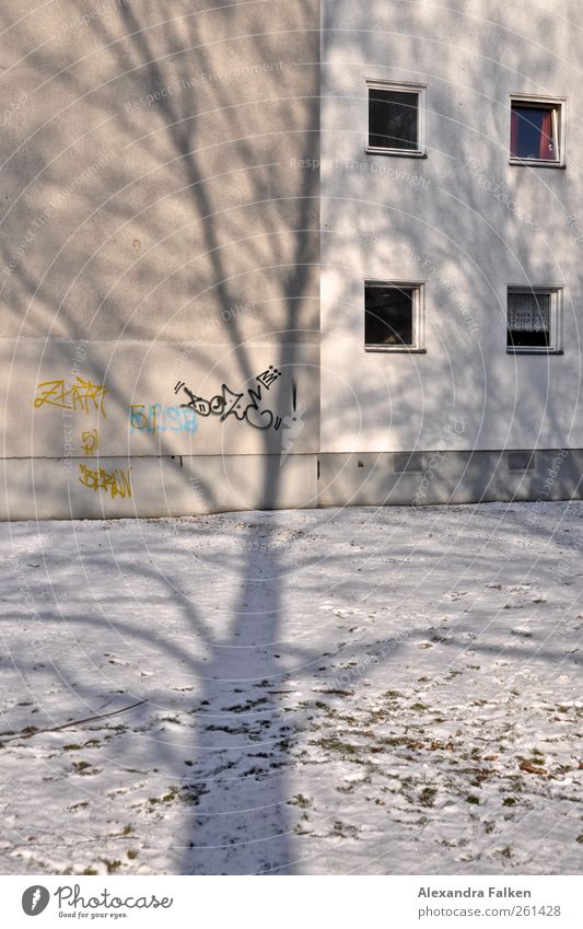 Baum fällt auf Haus. Häusliches Leben hoch Stadthaus Autofenster Zweige u. Äste Winter kalt Klima Licht Graffiti Zeichen Symbole & Metaphern Berlin