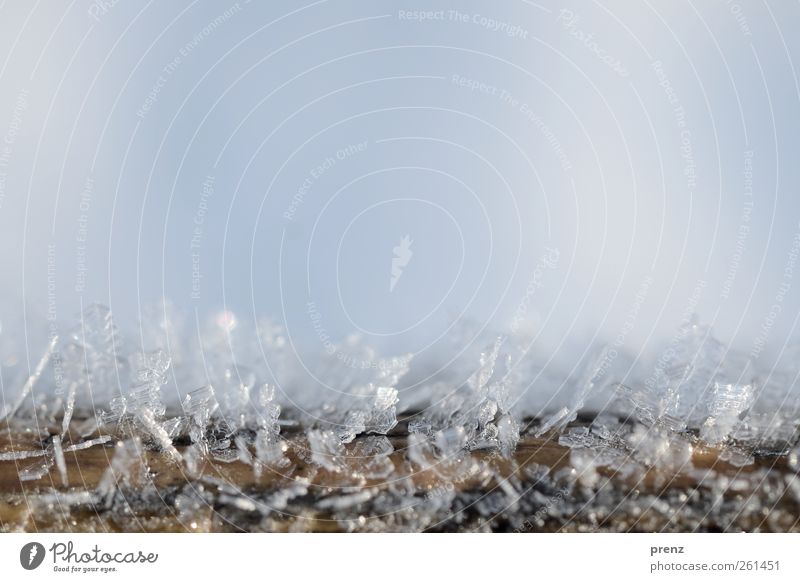 Eiszeit Natur Frost Holz blau weiß Eiskristall Nahaufnahme Makroaufnahme Winter kalt Farbfoto Außenaufnahme Menschenleer Textfreiraum oben Tag