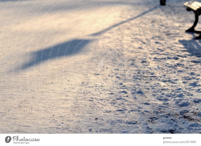 Laterne Winter Schnee Park braun weiß Schatten Parkbank kalt Wege & Pfade Laternenpfahl Farbfoto Außenaufnahme Menschenleer Textfreiraum unten Morgen Licht